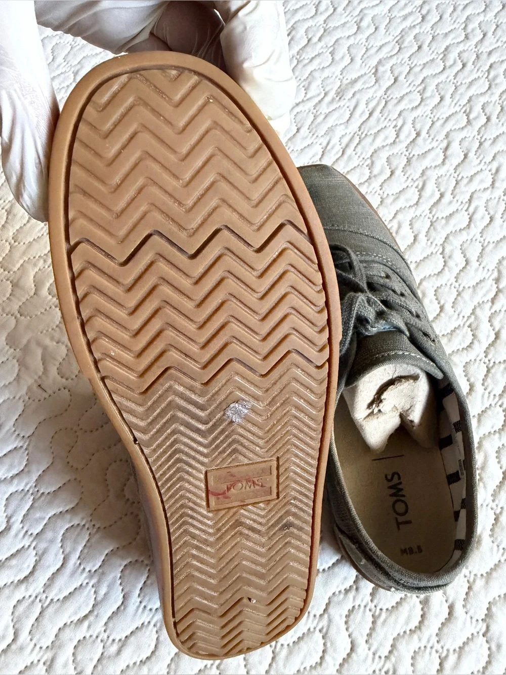TOMS Men's Sage Olive Canvas Lace-Up Low Top Gum Sole Sneakers 8.5